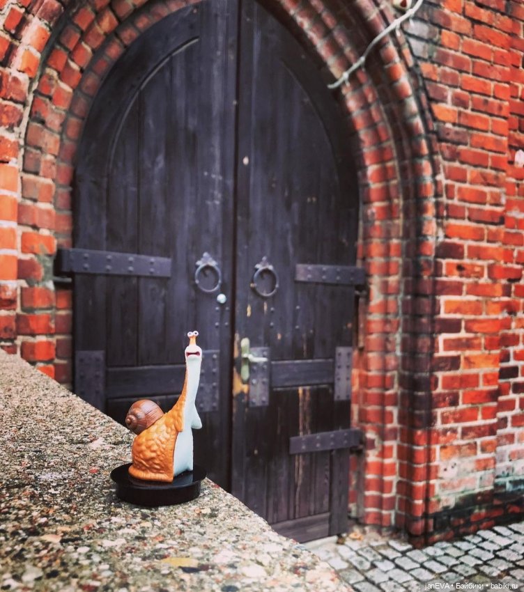 Путешественники. Калиниград глазами улитки и слизня