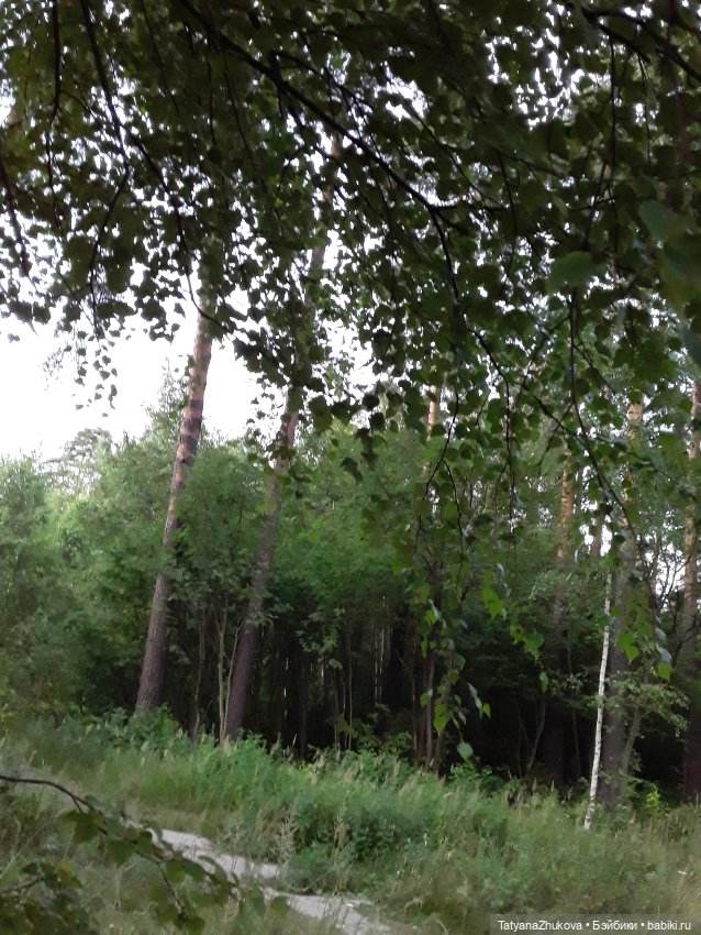 "Есть в летнем воздухе, под вечер зовущий выйти аромат…"