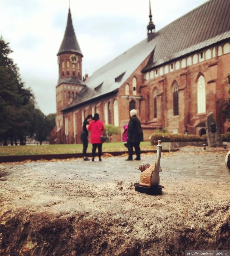 Путешественники. Калиниград глазами улитки и слизня