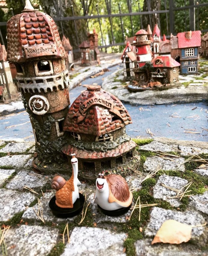 Путешественники. Калиниград глазами улитки и слизня (фото 5)