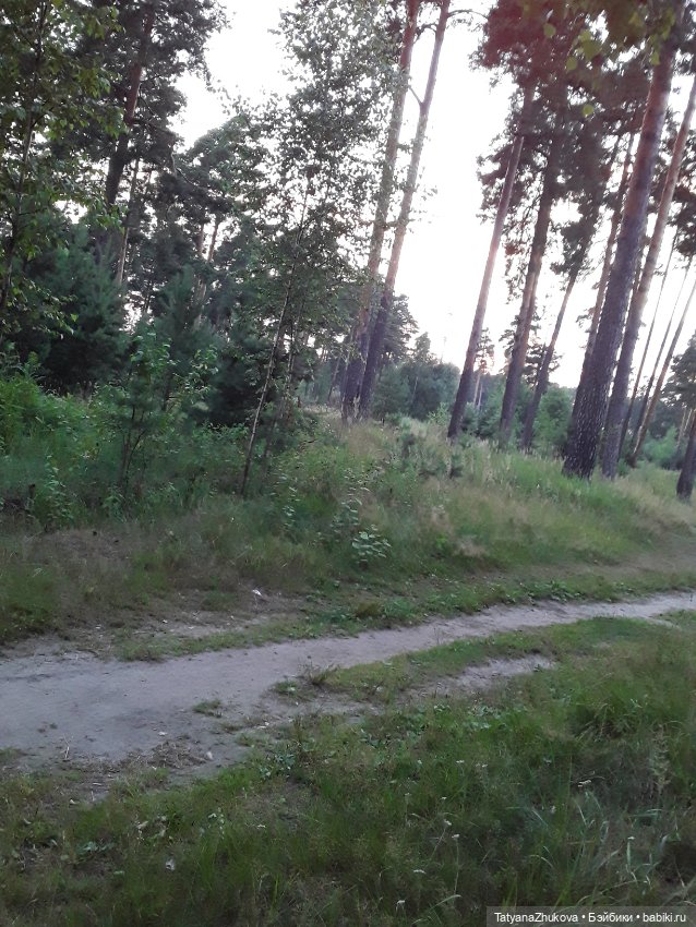 "Есть в летнем воздухе, под вечер зовущий выйти аромат…"