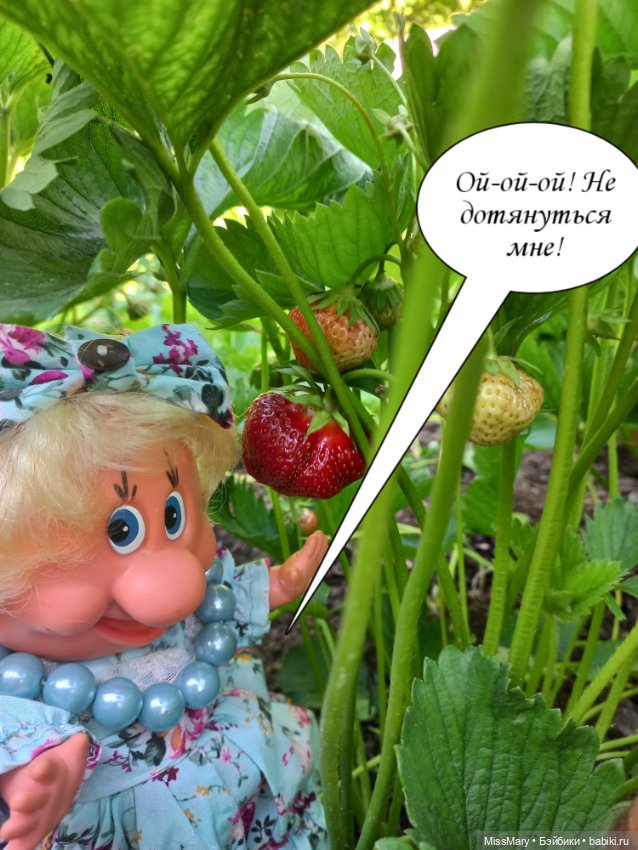 Весёлые картинки. Соберём-ка мы клубнику (фото 7)