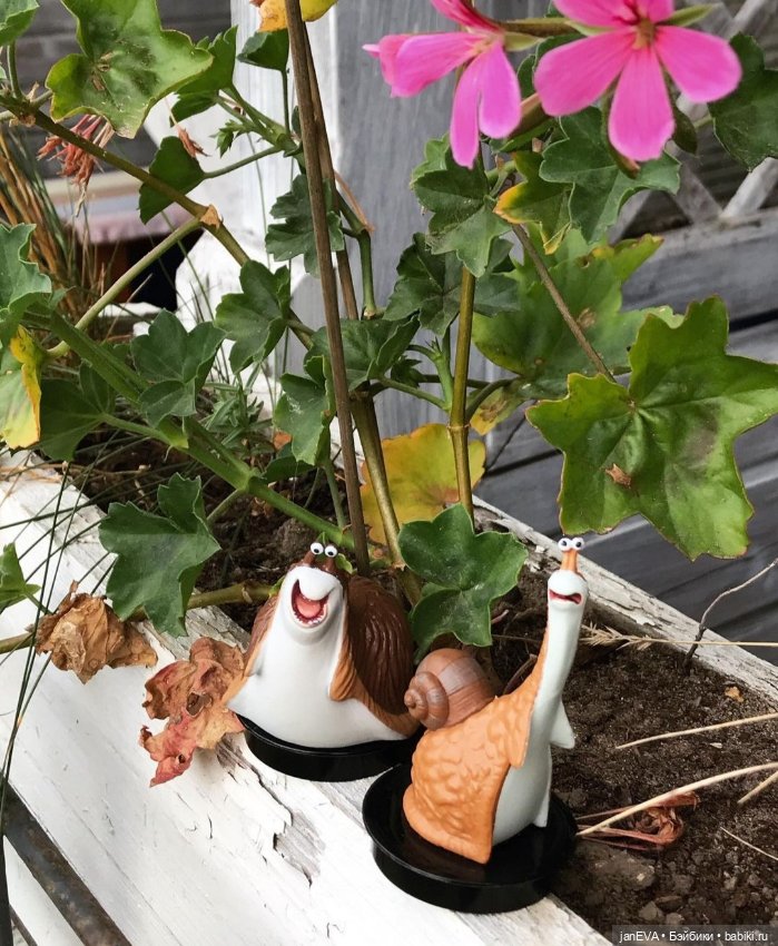 Путешественники. Калиниград глазами улитки и слизня