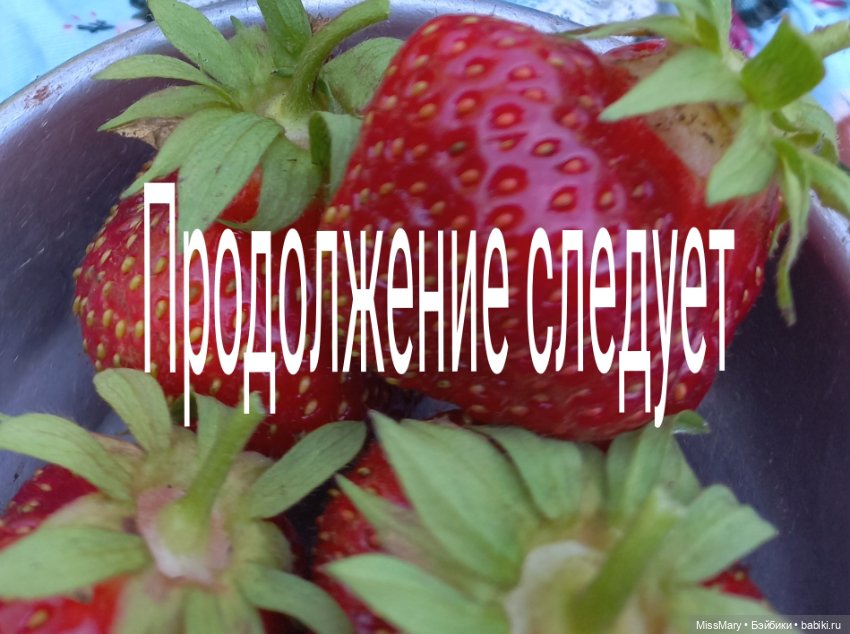 Весёлые картинки. Соберём-ка мы клубнику