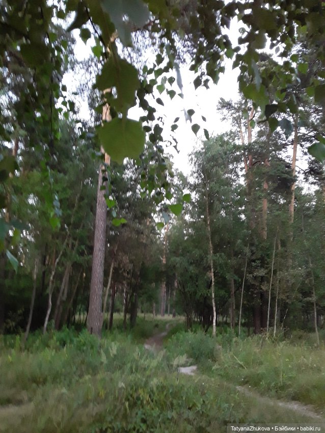 "Есть в летнем воздухе, под вечер зовущий выйти аромат…"