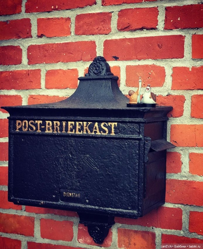 Путешественники. Калиниград глазами улитки и слизня