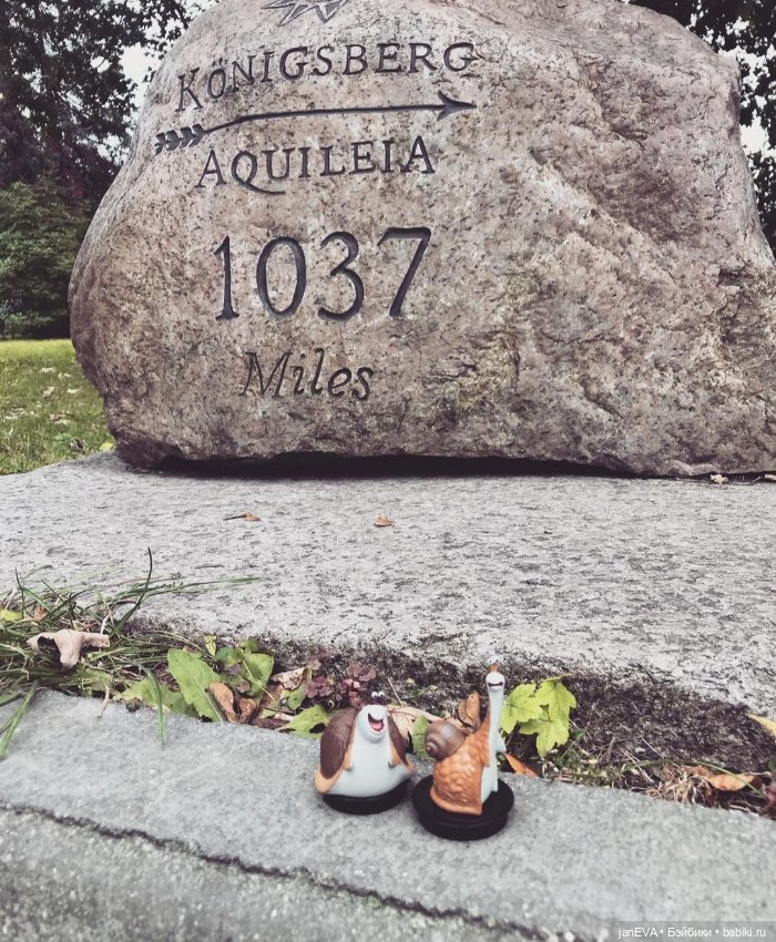 Путешественники. Калиниград глазами улитки и слизня (фото 8)