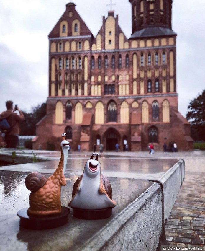 Путешественники. Калиниград глазами улитки и слизня