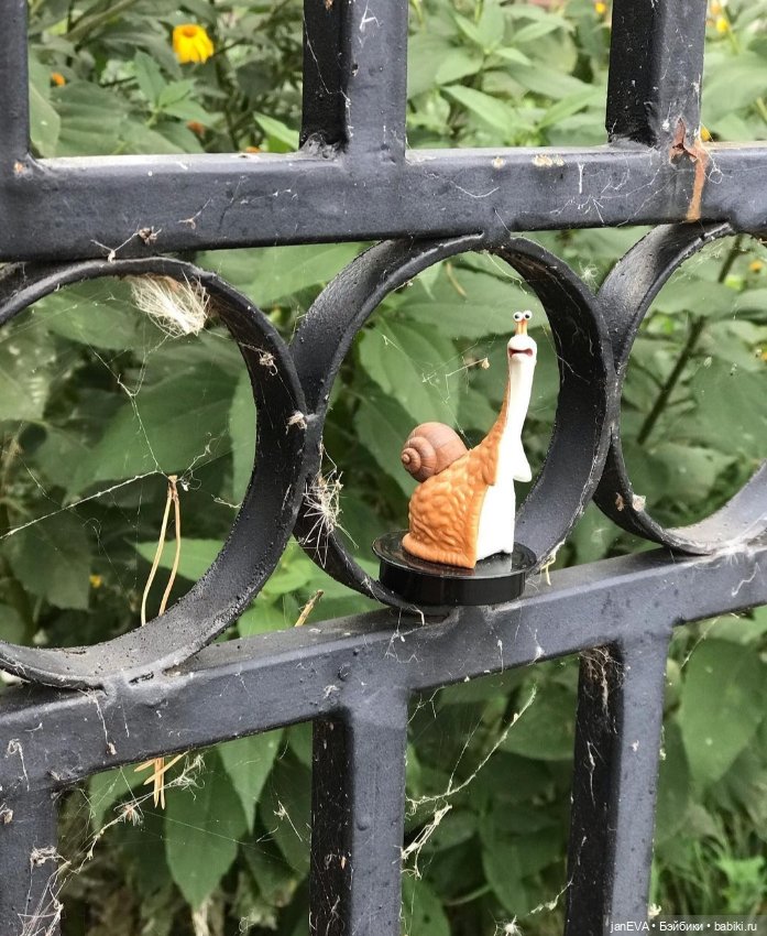 Путешественники. Калиниград глазами улитки и слизня (фото 2)