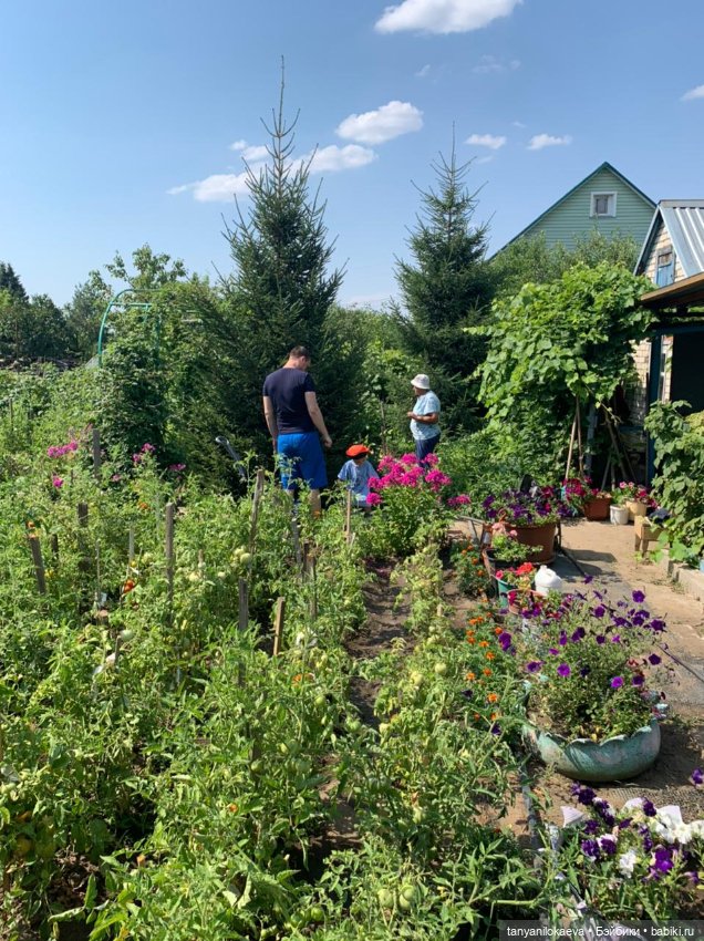 Как хорошо на даче 3 — Коллекционные куклы разных авторов (Разное): редкие бренды