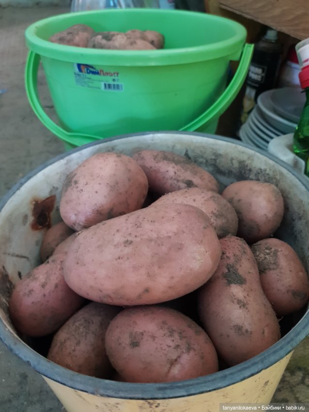 Как хорошо на даче 3 — Коллекционные куклы разных авторов (Разное): редкие бренды (фото 9)