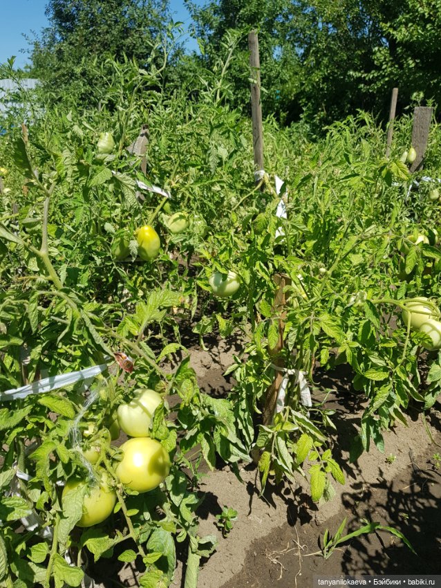 Как хорошо на даче 3 — Коллекционные куклы разных авторов (Разное): редкие бренды