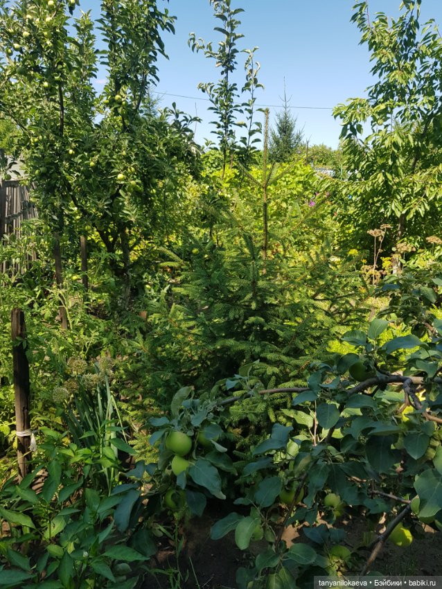 Как хорошо на даче 3 — Коллекционные куклы разных авторов (Разное): редкие бренды