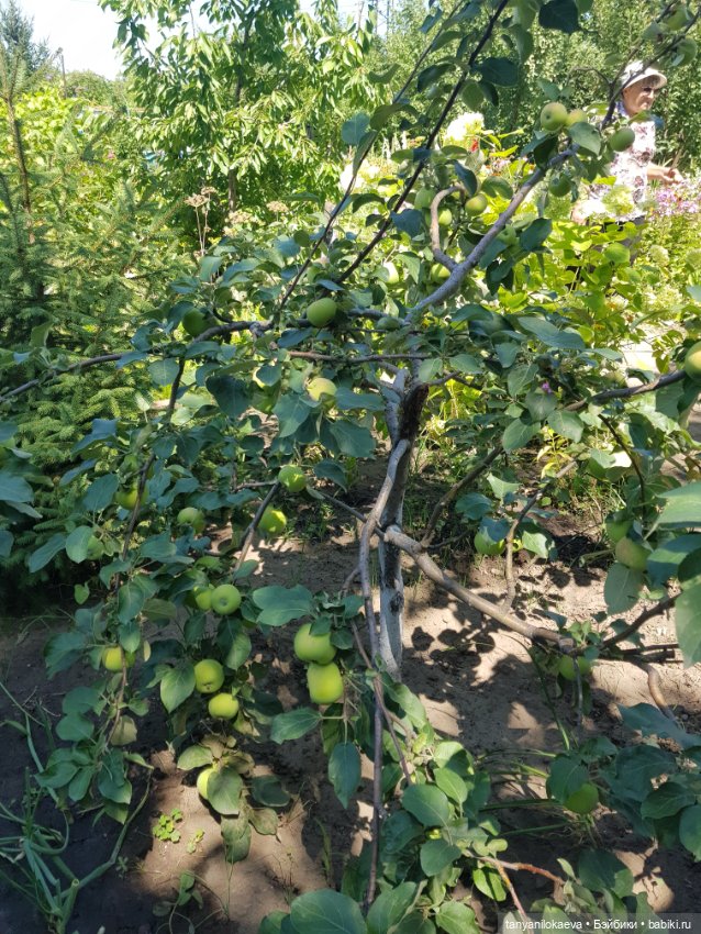 Как хорошо на даче 3 — Коллекционные куклы разных авторов (Разное): редкие бренды