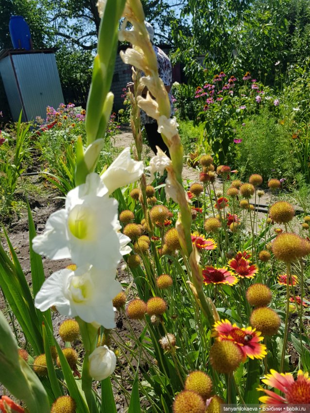 Как хорошо на даче 3 — Коллекционные куклы разных авторов (Разное): редкие бренды