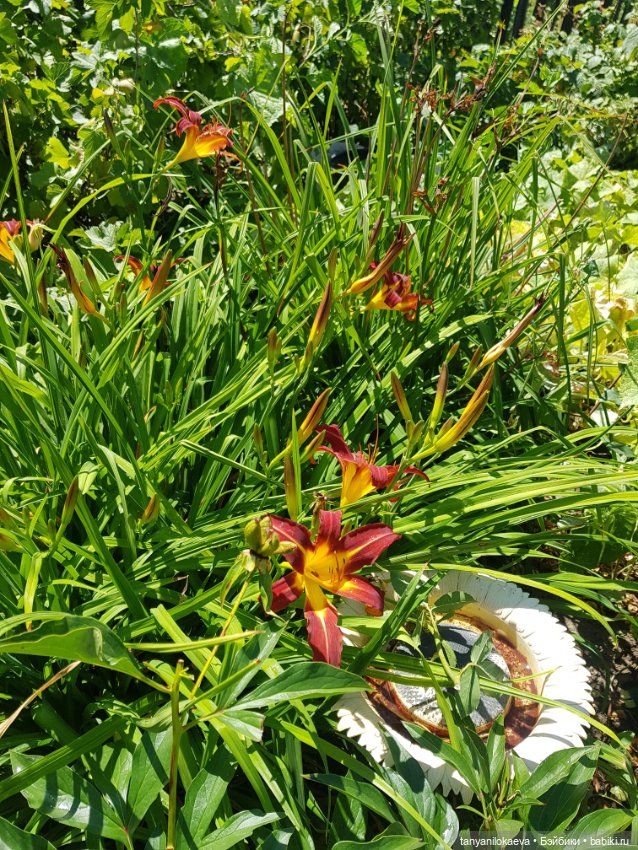 Как хорошо на даче 3 — Коллекционные куклы разных авторов (Разное): редкие бренды