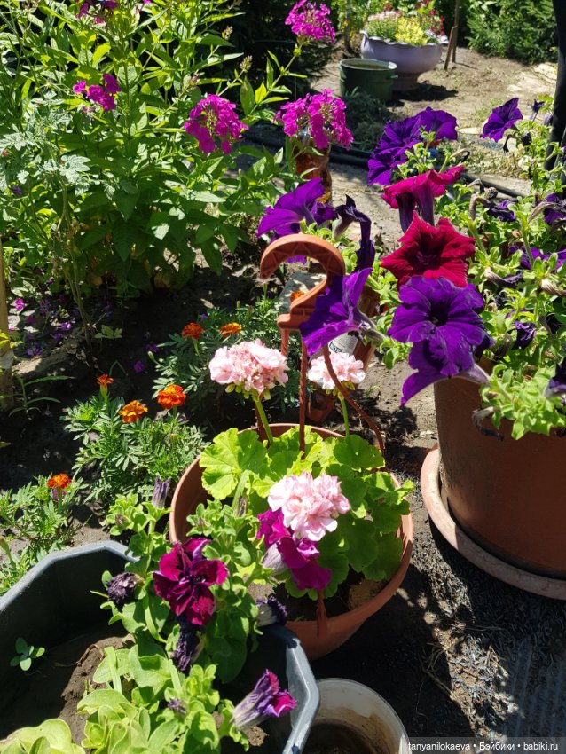 Как хорошо на даче 3 — Коллекционные куклы разных авторов (Разное): редкие бренды (фото 10)