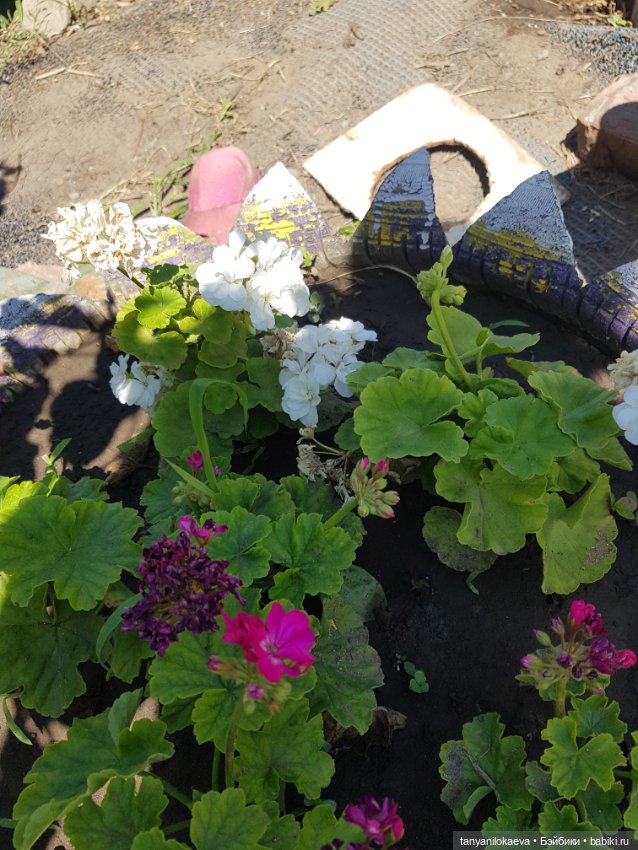 Как хорошо на даче 3 — Коллекционные куклы разных авторов (Разное): редкие бренды