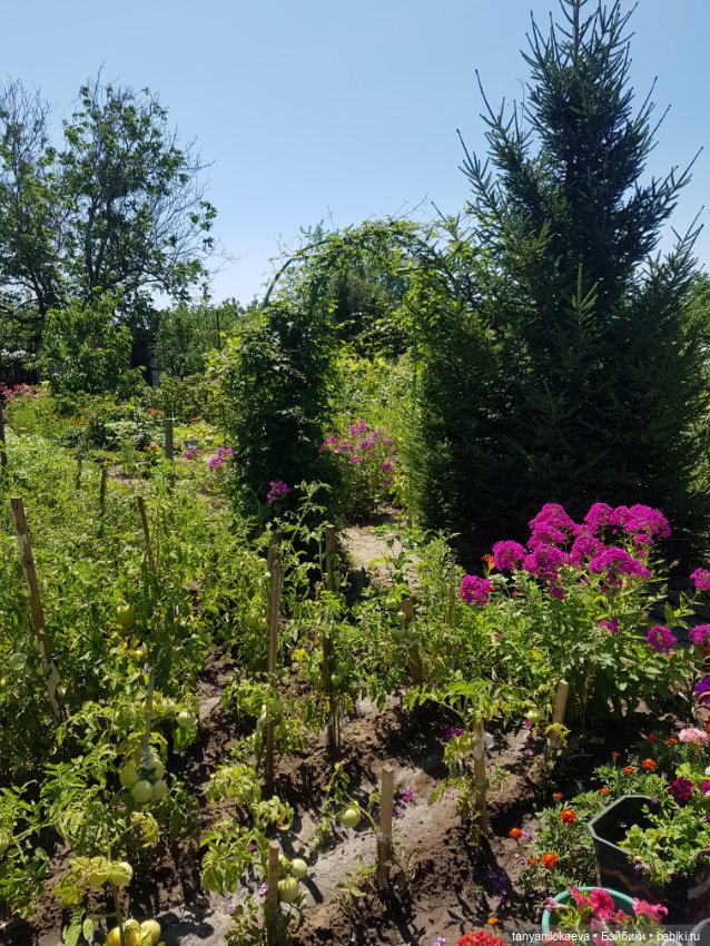 Как хорошо на даче 3 — Коллекционные куклы разных авторов (Разное): редкие бренды