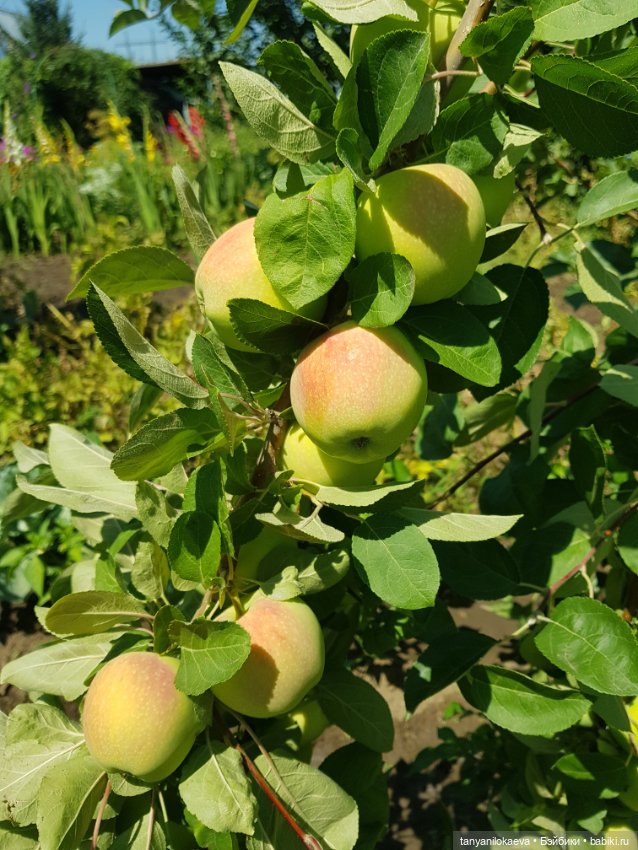 Как хорошо на даче 3 — Коллекционные куклы разных авторов (Разное): редкие бренды (фото 7)