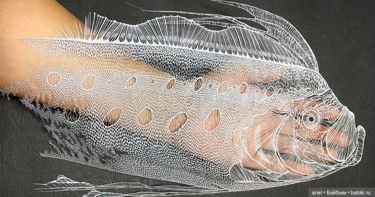 Великолепные работы художницы Масайо Фукуда