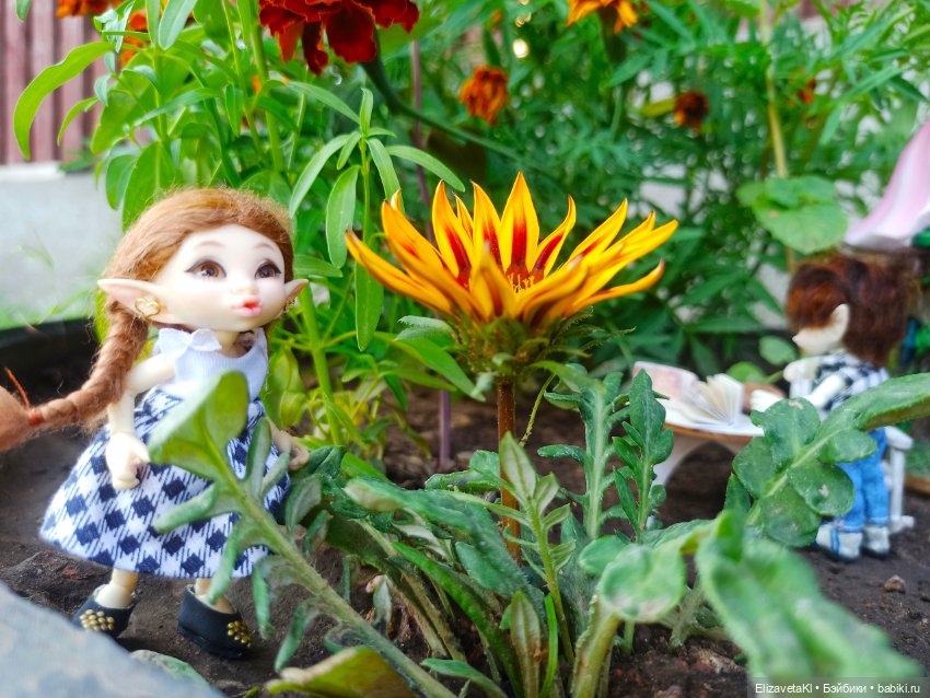 Однажды на клумбе. Realpuki. 123 часть (фото 5)