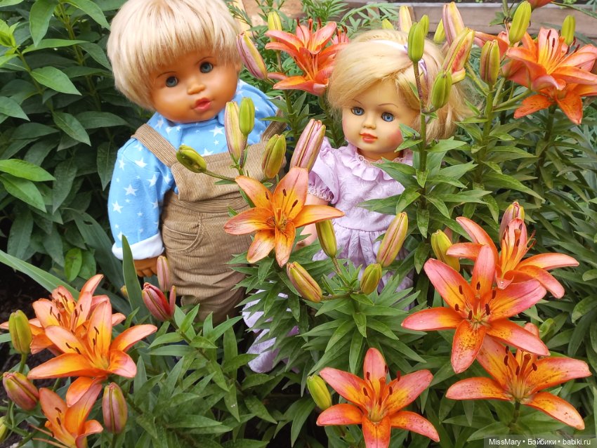 "Подарю тебе я розу" — Винтажные куклы ГДР (Немки): Бигги