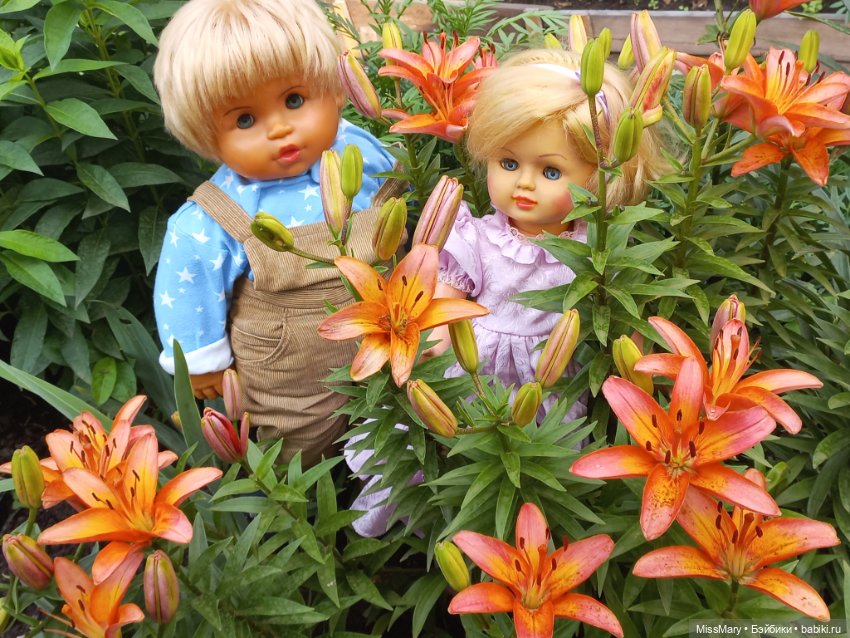 "Подарю тебе я розу" — Винтажные куклы ГДР (Немки): Бигги