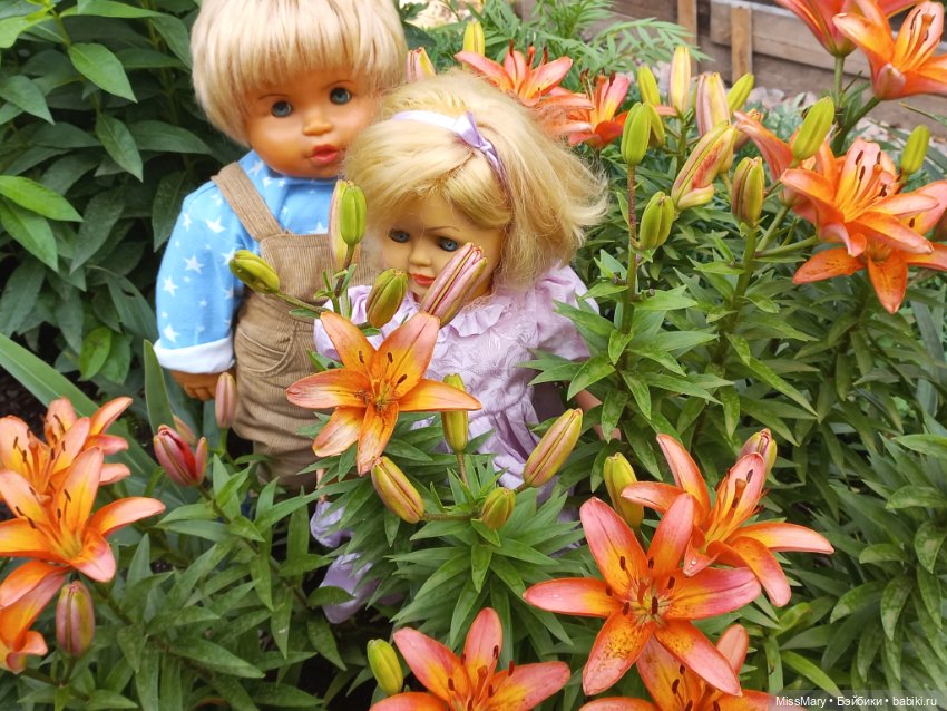 "Подарю тебе я розу" — Винтажные куклы ГДР (Немки): Бигги