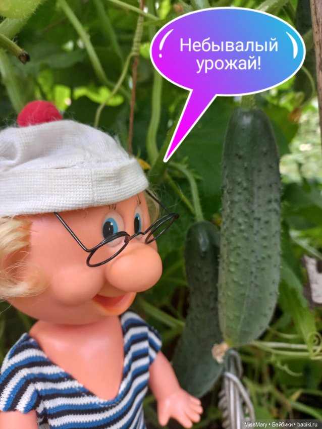 Весёлые картинки. Урожай огурцов (фото 5)
