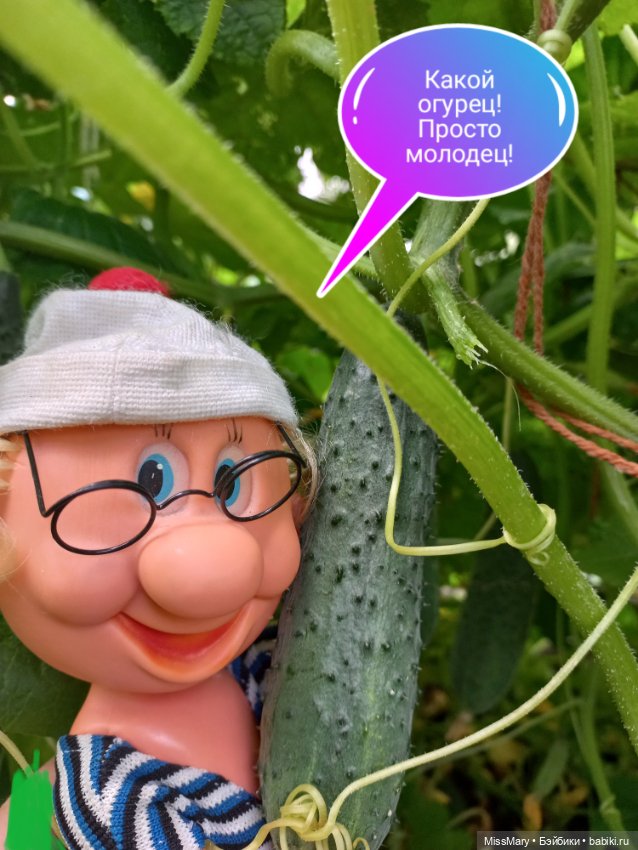 Весёлые картинки. Урожай огурцов (фото 7)