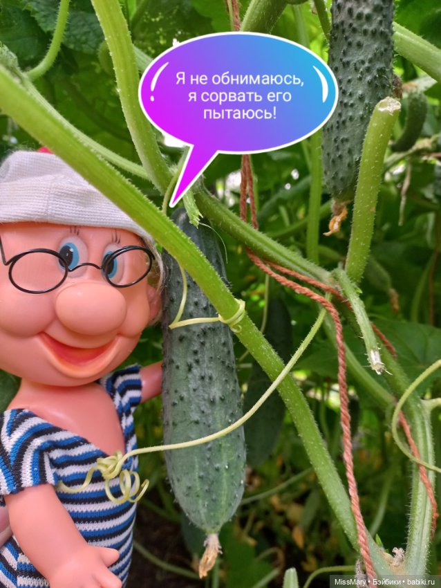 Весёлые картинки. Урожай огурцов (фото 9)