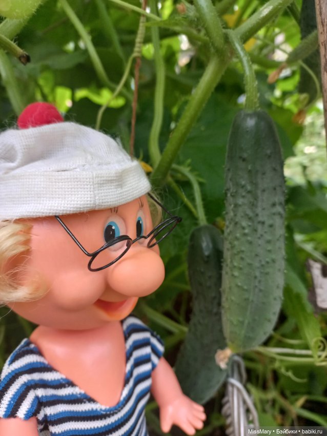 Весёлые картинки. Урожай огурцов (фото 6)