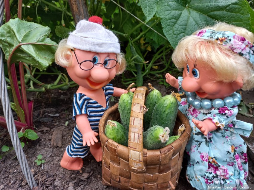 Весёлые картинки. Урожай огурцов