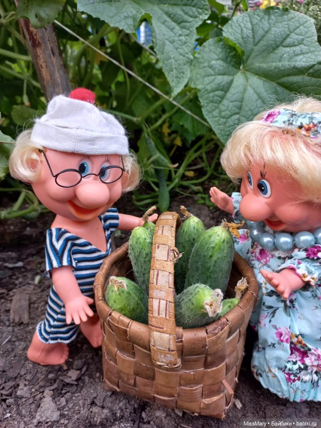 Весёлые картинки. Урожай огурцов