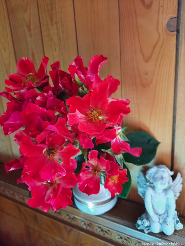 И снова моя несравненная Поль-Эстэль