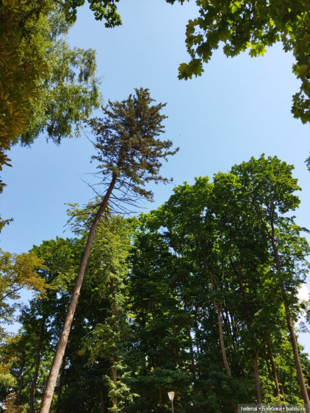Прогулка по Центральному парку в городе Туле