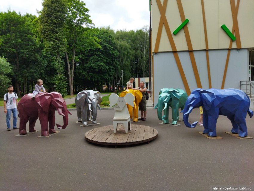 Прогулка по Центральному парку в городе Туле (фото 8)