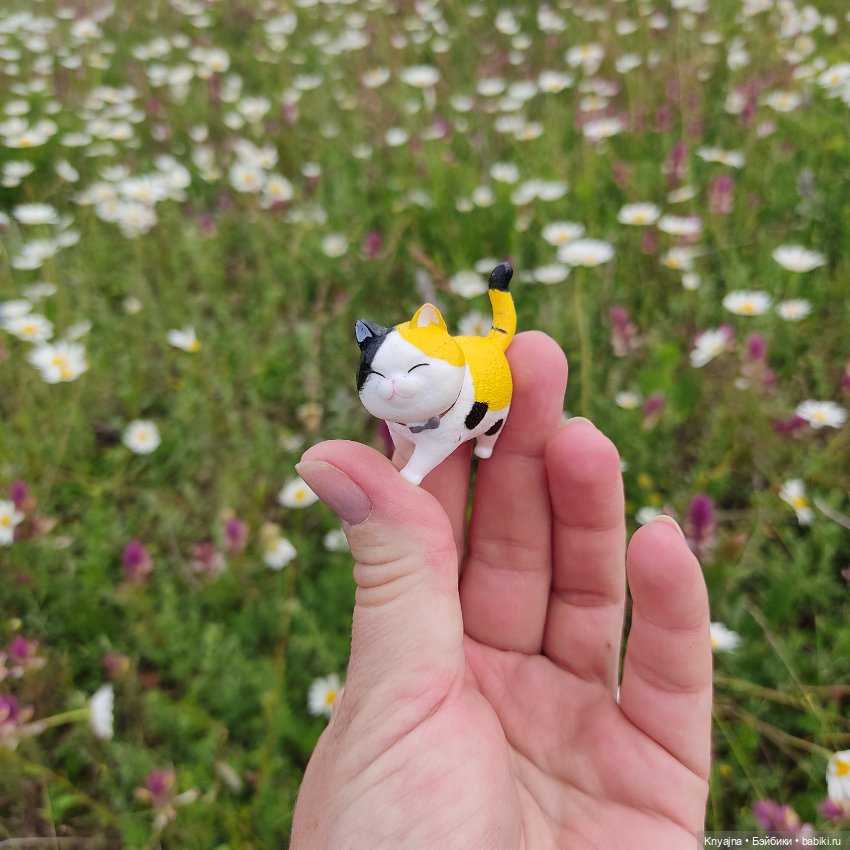 Маково-ромашковая прогулка Руби Ред Бейли (фото 2)