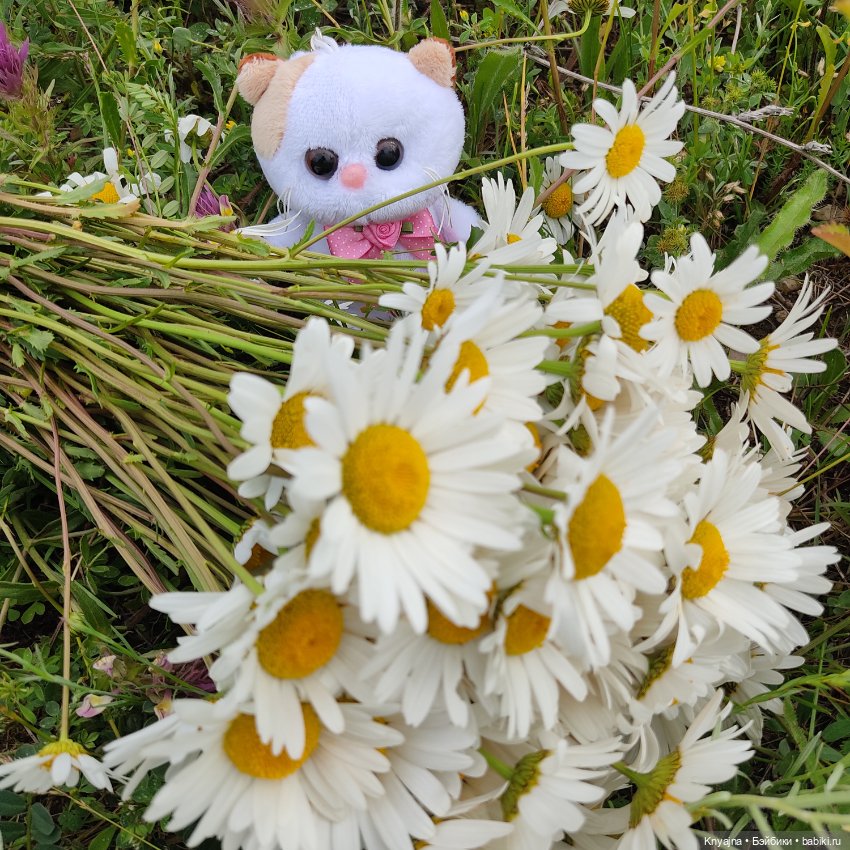 Маково-ромашковая прогулка Руби Ред Бейли (фото 6)