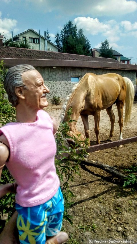 Матвей Сергеевич на конюшне