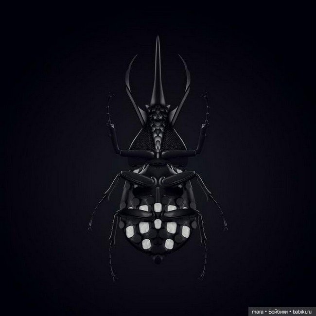 Кроссовки и произведения искусства от Phill Robson