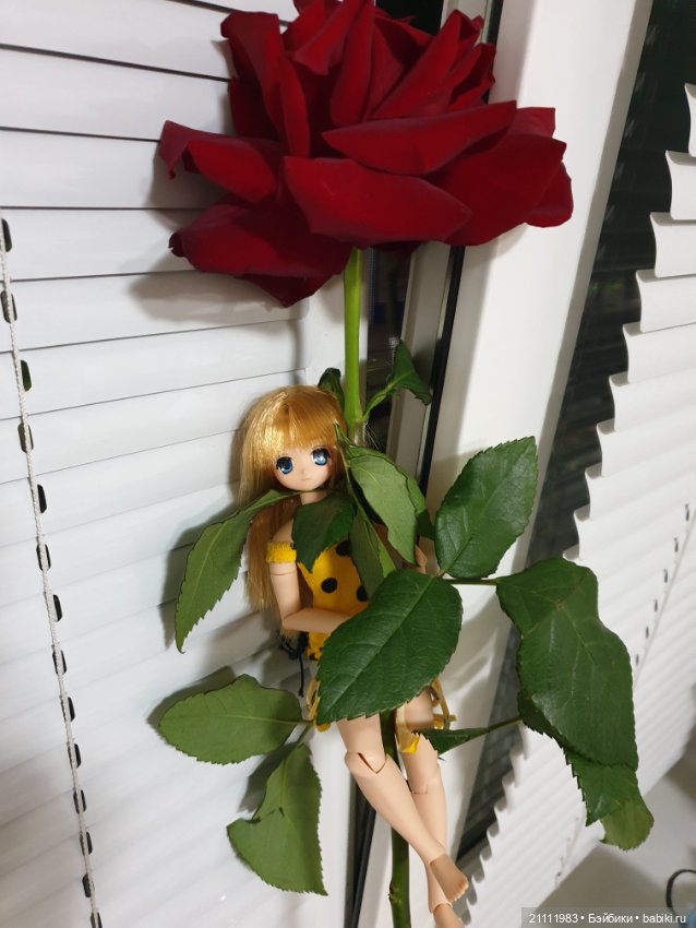 Азоночка-Алиска — Аниме куклы (MJD/Винил): Imomo (фото 3)