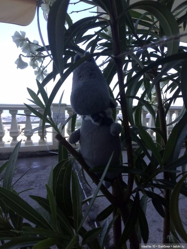 Как Гоша отдохнул на море