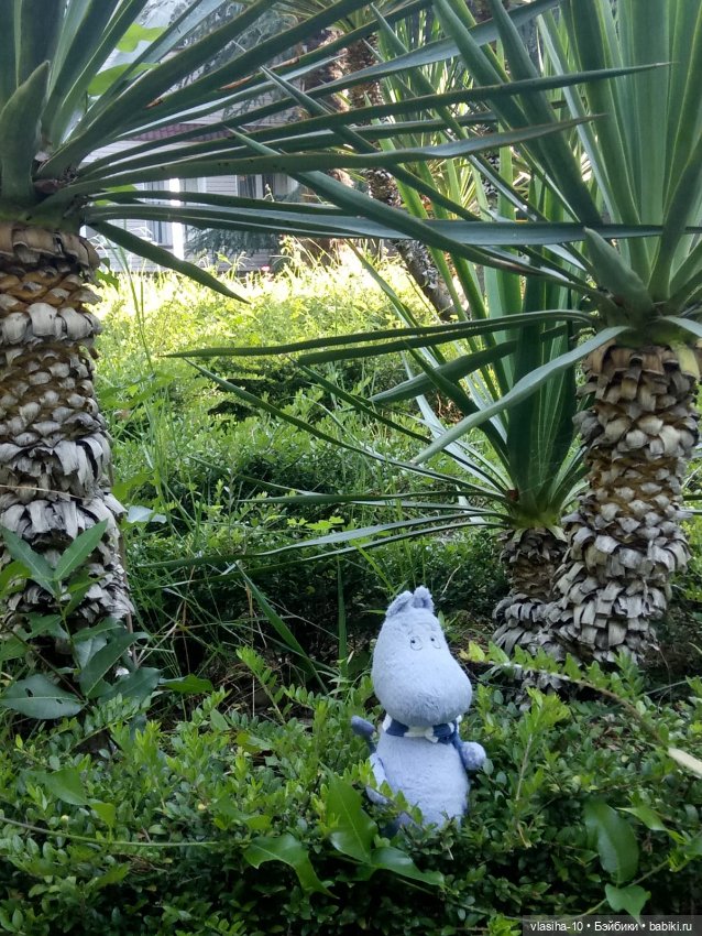 Как Гоша отдохнул на море