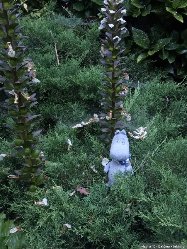 Как Гоша отдохнул на море