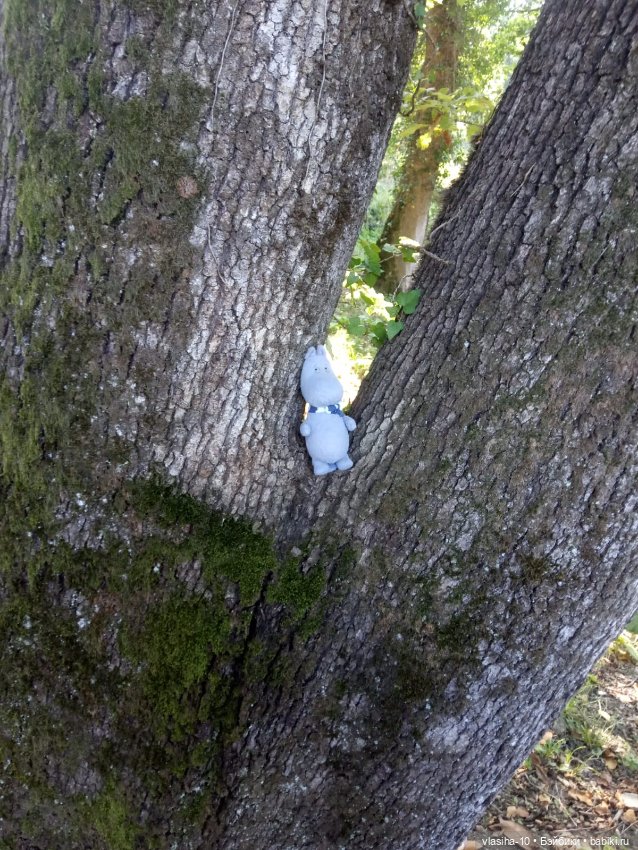 Как Гоша отдохнул на море