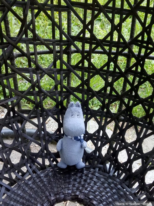 Как Гоша отдохнул на море (фото 5)