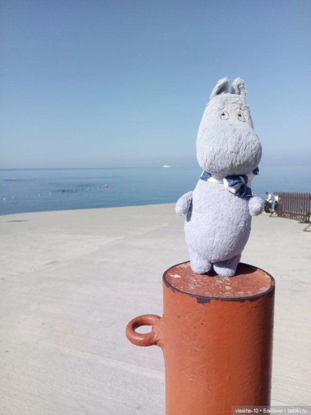 Как Гоша отдохнул на море