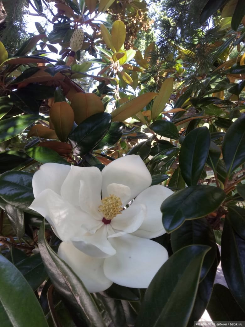 Как Гоша отдохнул на море